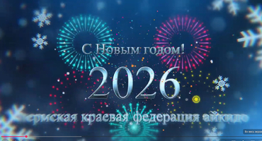 Айкидо Пермь