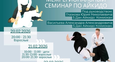 Айкидо Пермь