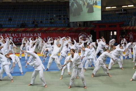 Международный фестиваль Айкидо