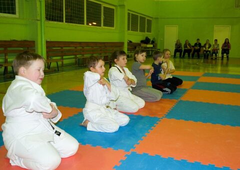30.01.2015 школа 59 Показательный выступления