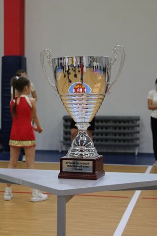 Лига школьных спортивных клубов г. Перми