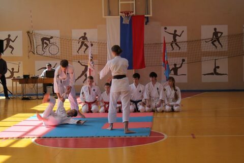 Показательные выступления в школе №111