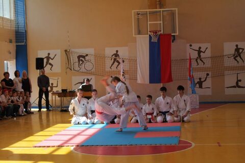 Показательные выступления в школе №111