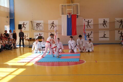 Показательные выступления в школе №111