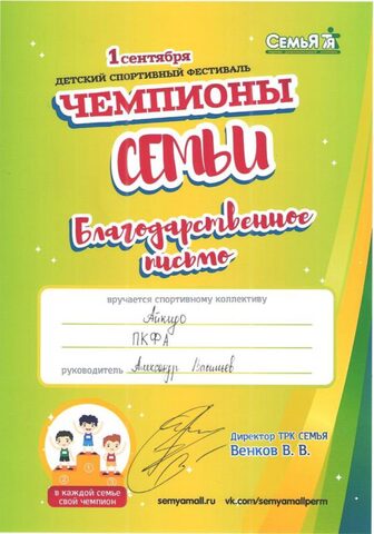 фестиваль Чемпионы семьи 01 сентября
