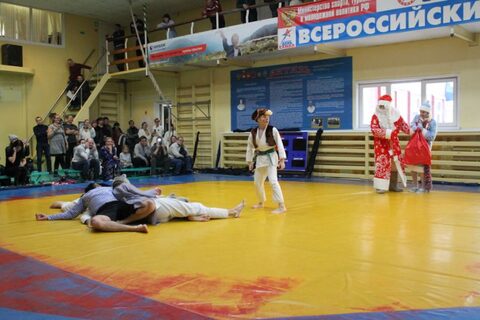 Новогодний семинар 17.12.2017