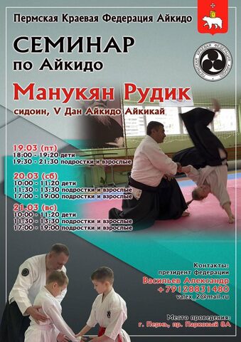 В Перми прошел семинар Айкидо