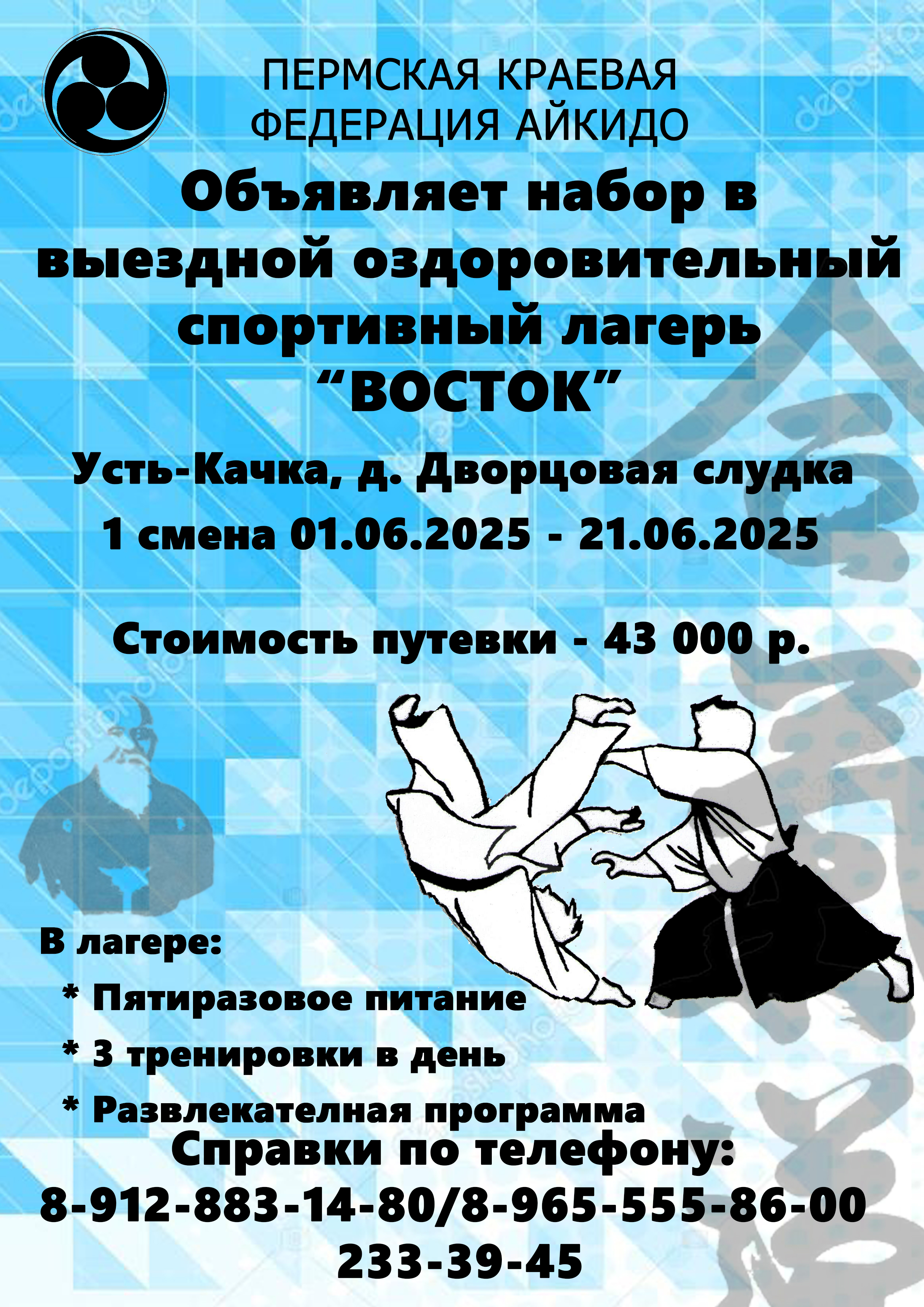 Детский летний лагерь Айкидо 2025