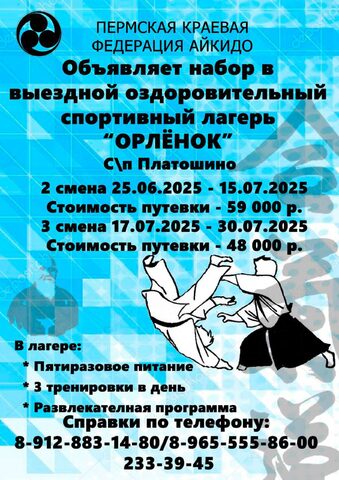 Детский летний лагерь Айкидо 2025